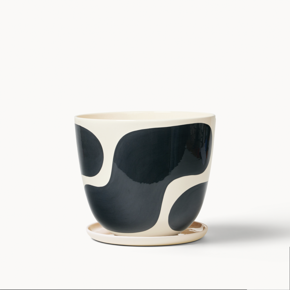 Frank dam カフェ　アート 474mm × 459mm Frank dam カフェ アート 474mm × 459mm Frank dam カフェ アート